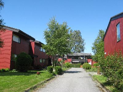 IMG_2514
