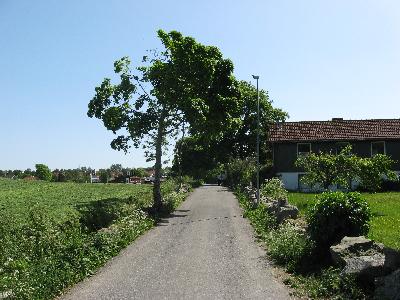 IMG_2641